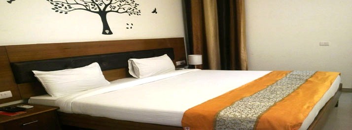 2382/Casa Meera - Noida 10.jpg